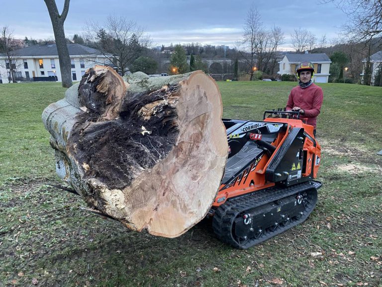 Lire la suite à propos de l’article Abattage d&rsquo;un arbre en urgence qui menaçait de tomber à Rillieux la Pape, dans le secteur de Lyon￼