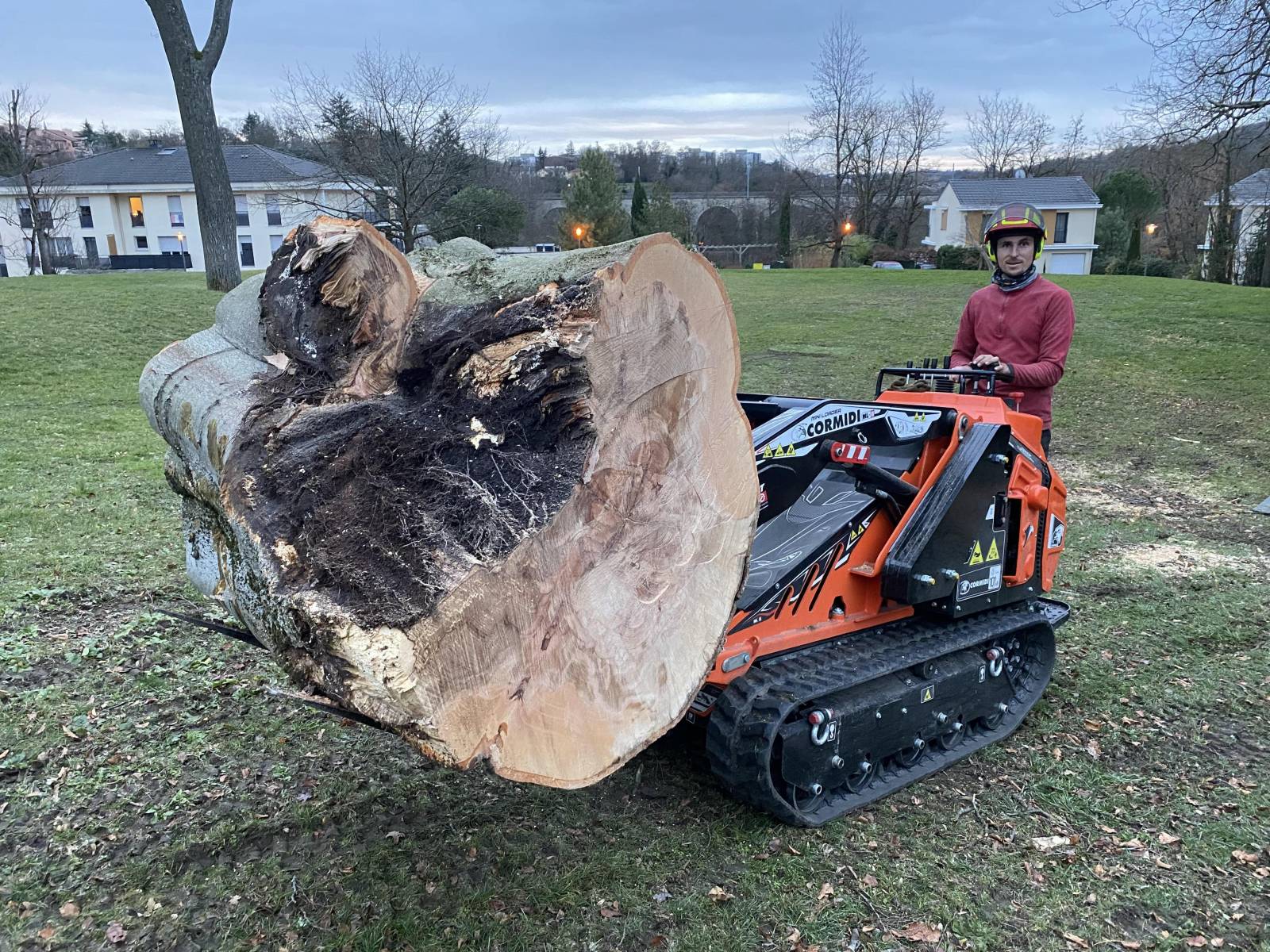 You are currently viewing Abattage d&rsquo;un arbre en urgence qui menaçait de tomber à Rillieux la Pape, dans le secteur de Lyon￼